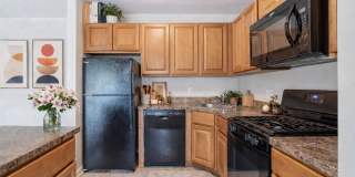 Brookstone Gallery 2