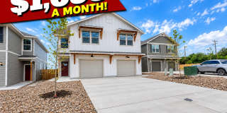 12348 Montgomery Forest Gallery 1