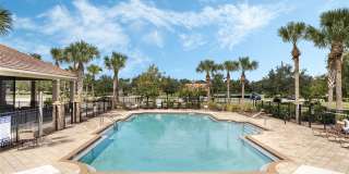 337 PARTRIDGE PEA LANE Gallery 37