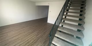 Palmwood Gardens Gallery 15