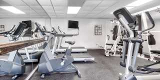 Tall Trees Gallery 8