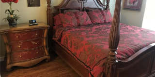 10380 CARROLLWOOD LANE Gallery 8