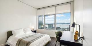 The Confidential The Confidential Gallery 7