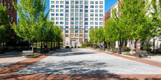 Quincy Commons Gallery 44