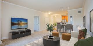 The Marque Gallery 7