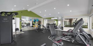 Tierra Del Sol Gallery 3