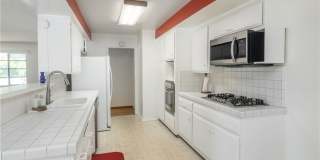 11543 Swinton Gallery 11