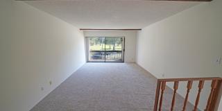 24525 Trevino Drive - 6 Gallery 4