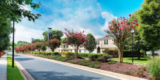 Hopkins Point Gallery 4