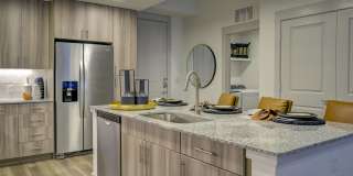 Alexan Rivercrest Gallery 17