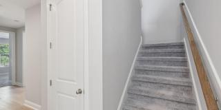9897 FILAMENT Boulevard Gallery 24