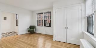 The Dahlia Gallery 36