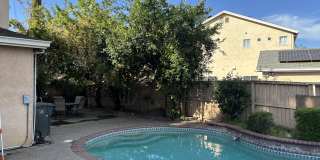 4101 Rose Parade Gallery 11