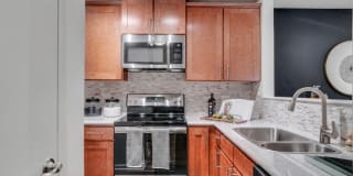 TGM Park Meadows Gallery 2