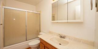 3208 Spruce Gallery 16