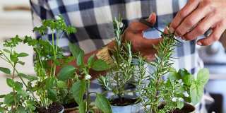 Destinations Lynnwood 61+ Active Adult Apartment Homes Gallery 42