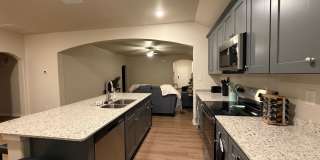 Brand New Home in Shenandoah! Gallery 6