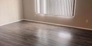 328 E Elmwood Avenue Gallery 3