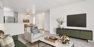 Diamond Park Gallery 1