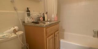 Great Location with Heat/HW Incl! Brookline 2-Bed/1-Bath for 9/1 Move-In Gallery 14