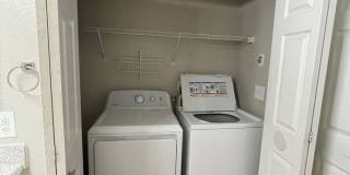 The Signature Gallery 53