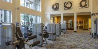 The Circuit Gallery 53