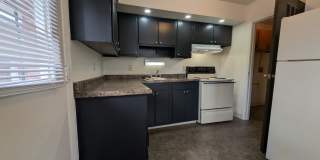 1193 A Kelburn Road Gallery 4