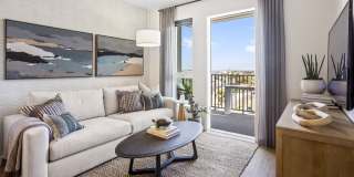 Vivo on Harbor Gallery 5