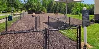 Cadence at Cates Creek Gallery 21