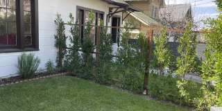 1448 Calumet Ave Gallery 4