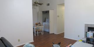 WINDTREE 306 Gallery 25