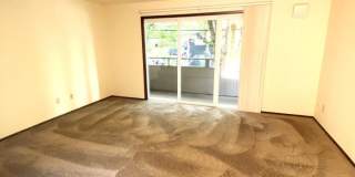 2731 60 Ave SW Gallery 4