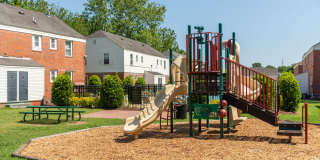 Verve 261 Gallery 35