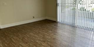 Newport Seacrest Apartments Gallery 9