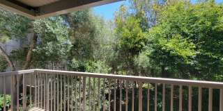 7202 Shelter Creek Ln Gallery 12