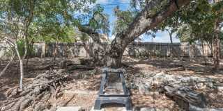 Minutes from Downtown and Blocks from St Edwards - Charming single-story Home Gallery 22