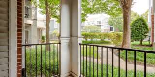 The Jefferson at Fair Oaks Gallery 55