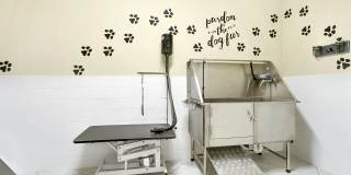 Aster Apartments Gallery 7