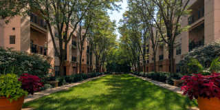 Strathmore Court At White Flint Gallery 16