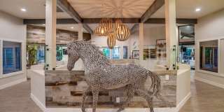 Trails San Dimas Gallery 10