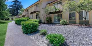 Carrington Gallery 37