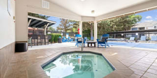 Avana Hamptons Gallery 8