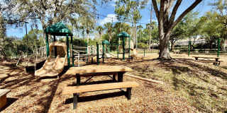 10222 DEVONSHIRE LAKE DRIVE Gallery 32