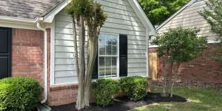 9532 Chi Chi Cv Gallery 26