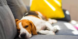 Advenir at One Eleven Gallery 20