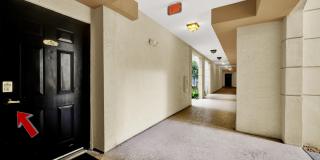 3106 Tuscany Way Gallery 41