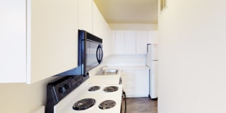 Regents Park Gallery 47