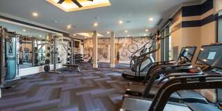 Pearl Rosemont Gallery 6