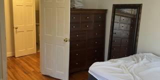 81 Thornton St 3 Gallery 10