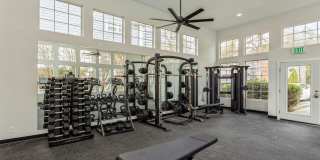 Peachtree Park Apartments Gallery 10